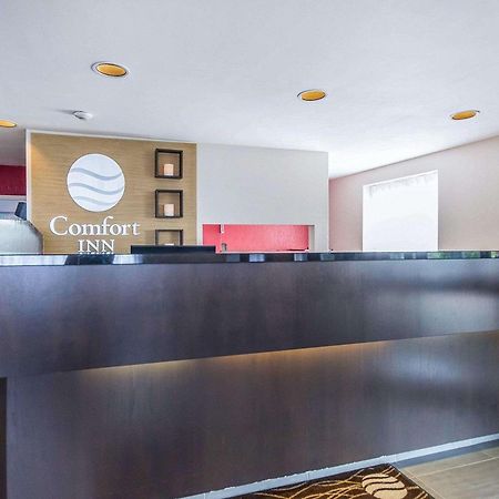Comfort Inn East Sudbury Bagian luar foto